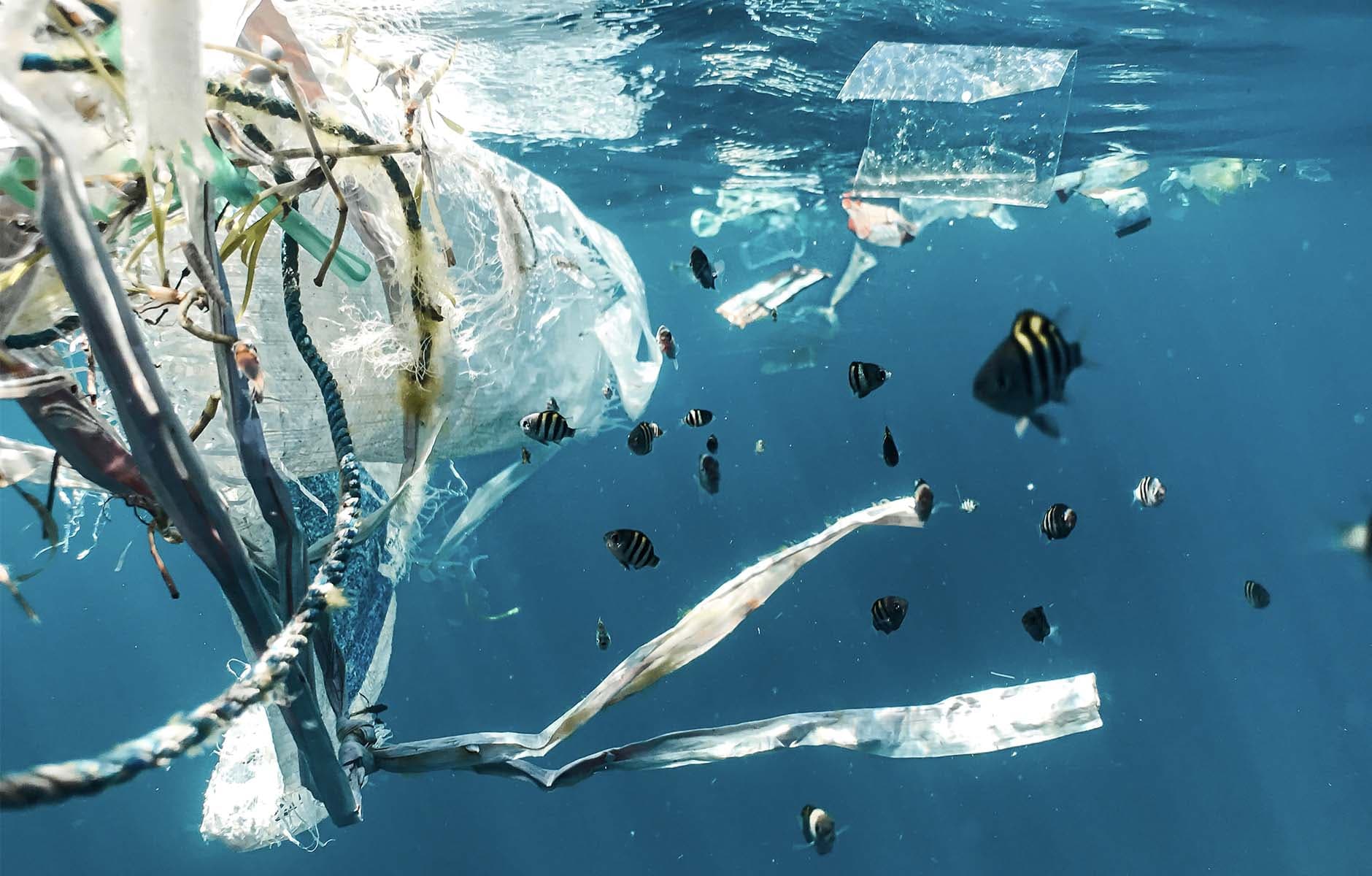 /images/underwater_plastic.jpg