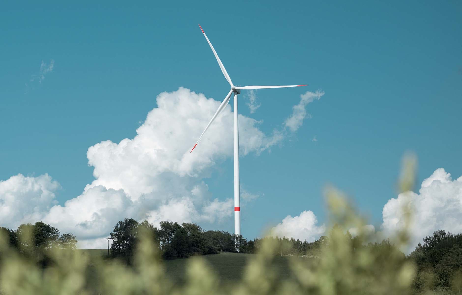 /images/windmill.jpg